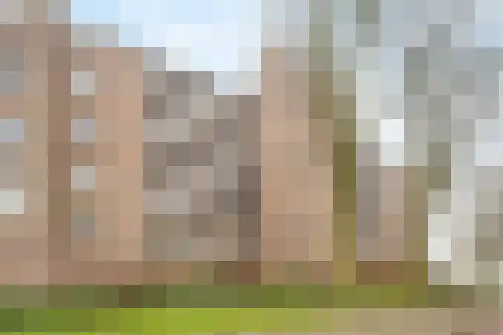 Nieuwveld 116 Helmond thumbnail 26