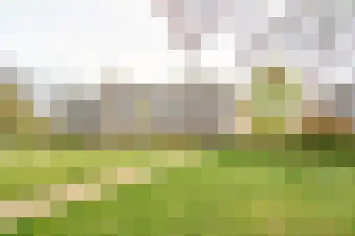 Nieuwveld 116 Helmond thumbnail 30