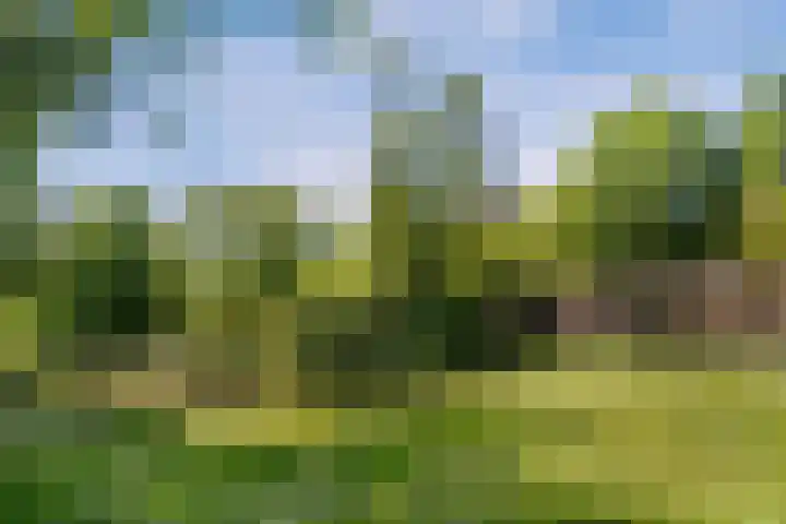 Nieuwveld 116 Helmond thumbnail 31