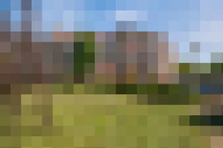 Nieuwveld 116 Helmond thumbnail 32