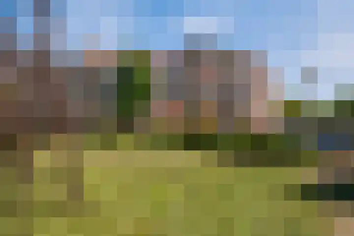 Nieuwveld 116 Helmond thumbnail 33