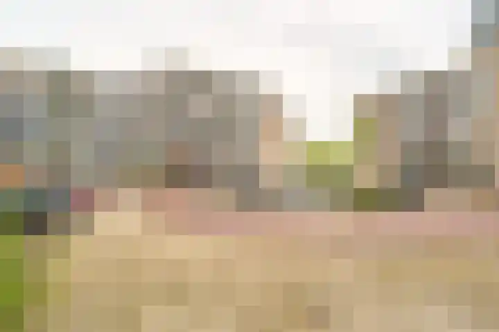 Nieuwveld 116 Helmond thumbnail 37