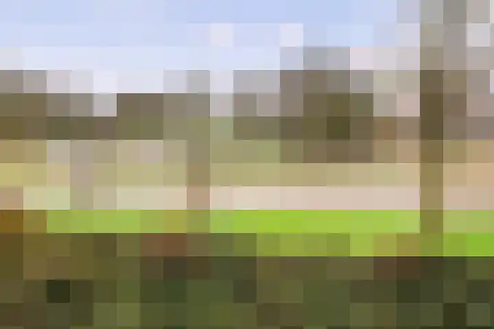 Nieuwveld 116 Helmond thumbnail 4