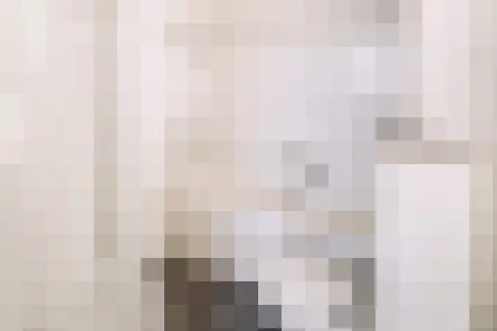 Nieuwveld 116 Helmond thumbnail 7