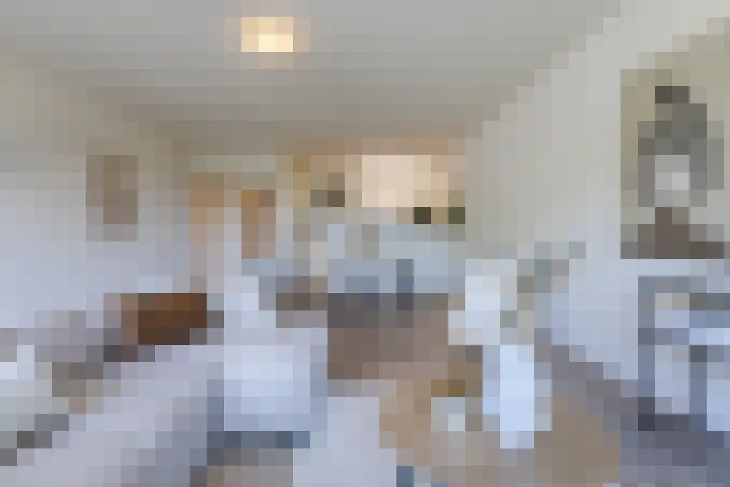 Nieuwveld 12 Helmond thumbnail 11