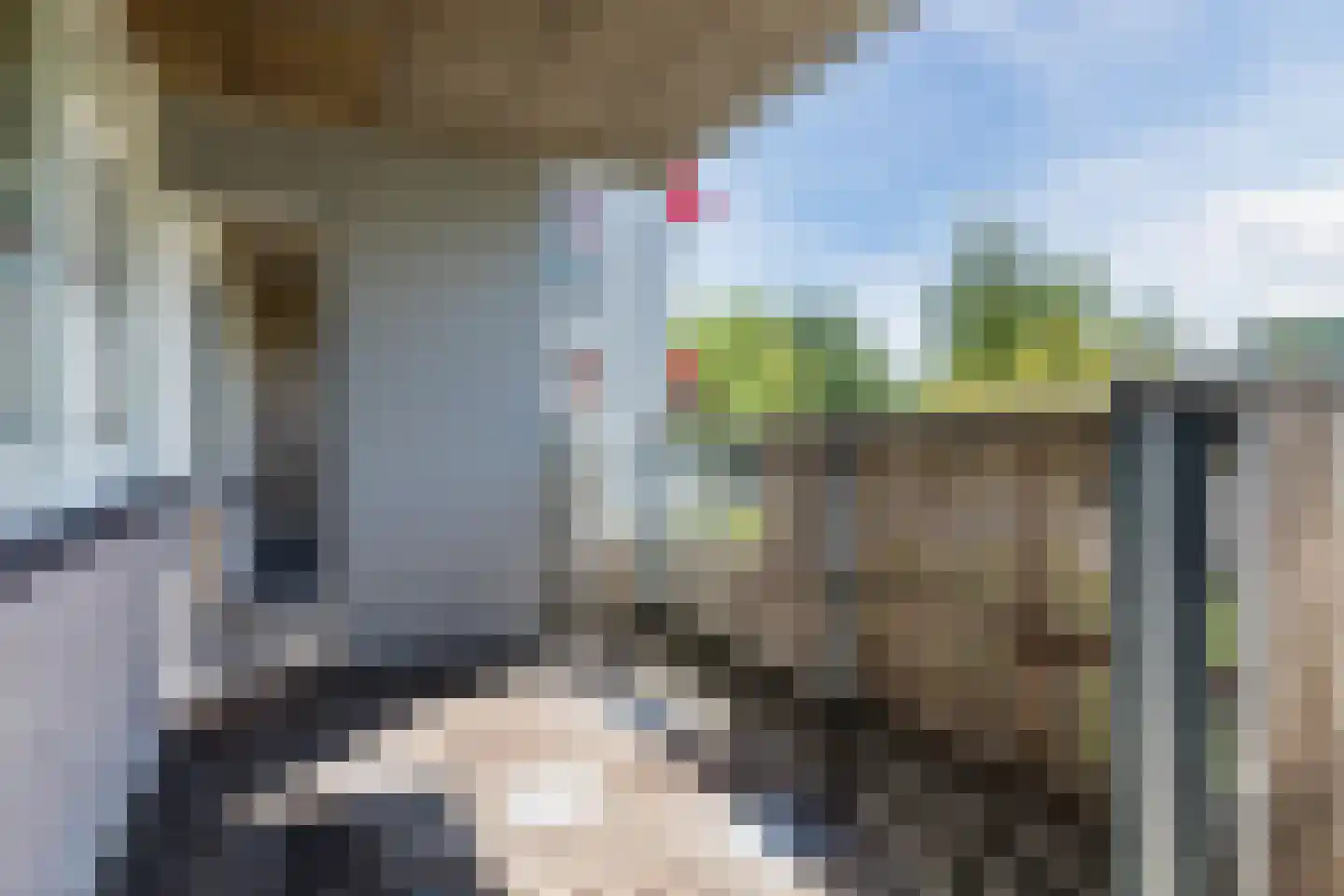 Nieuwveld 12 Helmond thumbnail 53