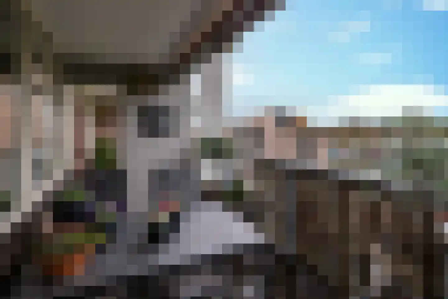 Nieuwveld 150 Helmond thumbnail 27