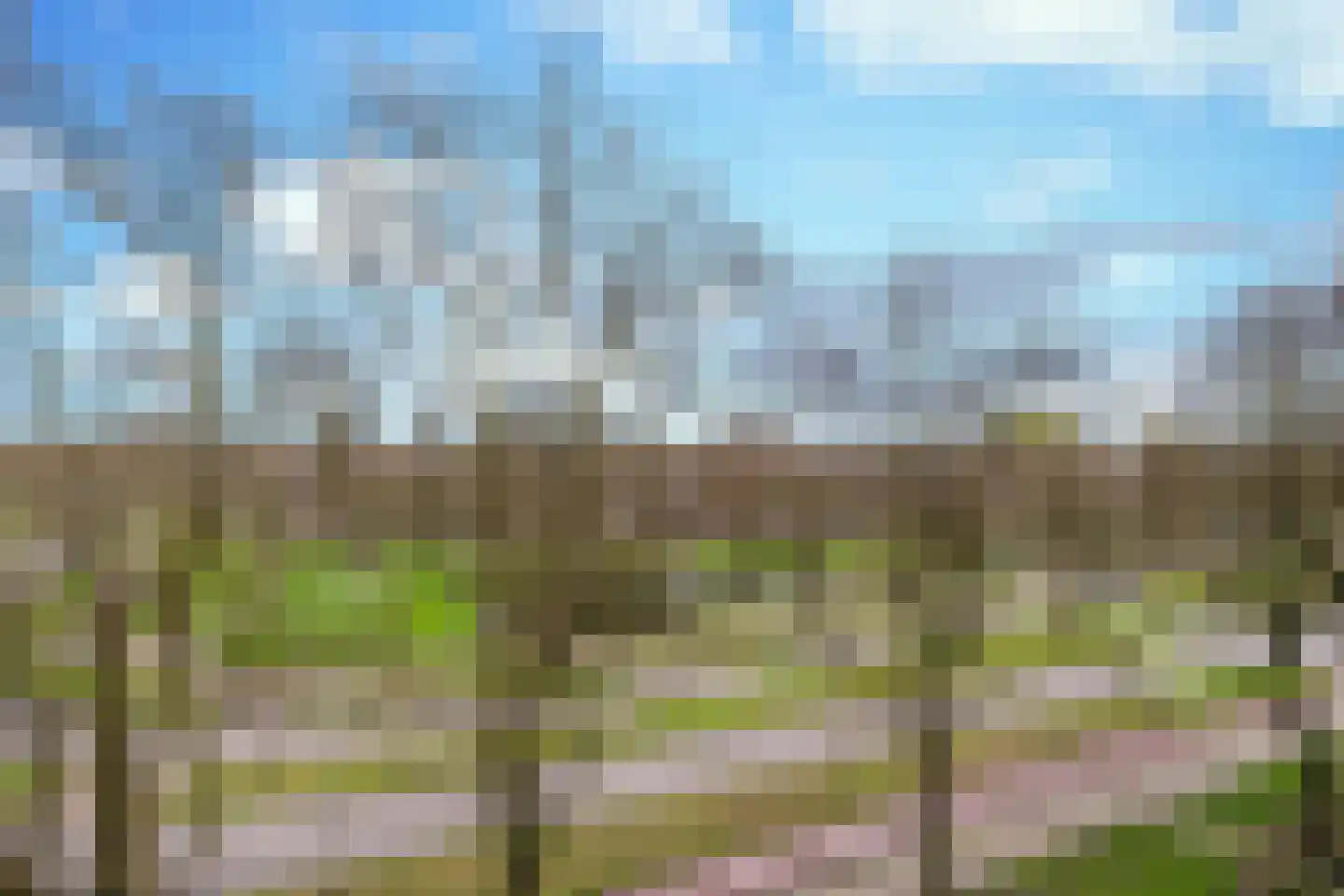 Nieuwveld 150 Helmond thumbnail 37
