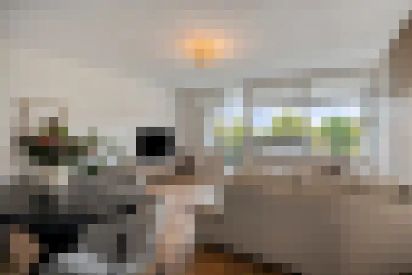Nieuwveld 154 Helmond thumbnail 11