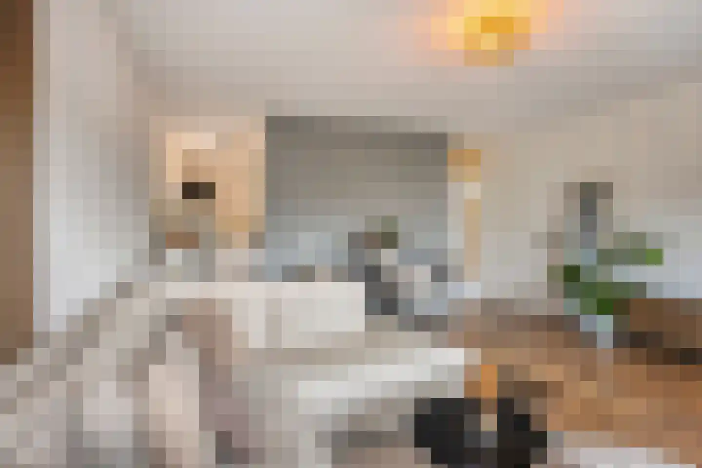 Nieuwveld 154 Helmond thumbnail 12