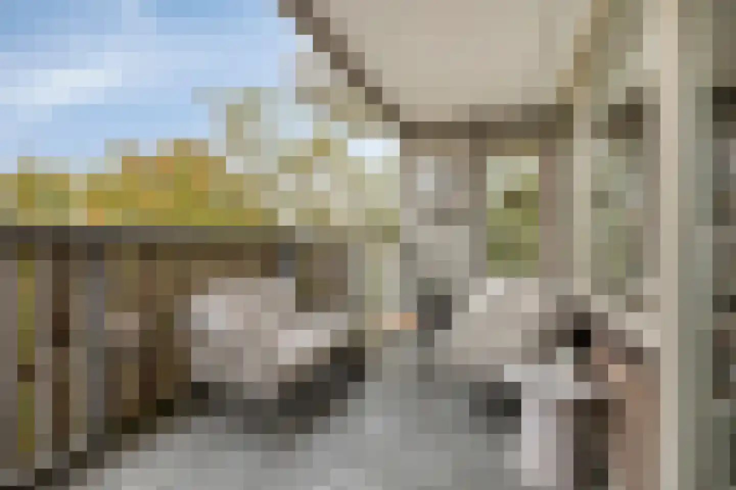 Nieuwveld 154 Helmond thumbnail 6