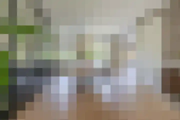 Nieuwveld 16 Gemert thumbnail 17