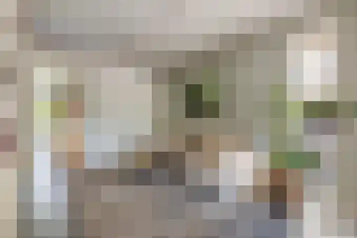 Nieuwveld 16 Gemert thumbnail 25