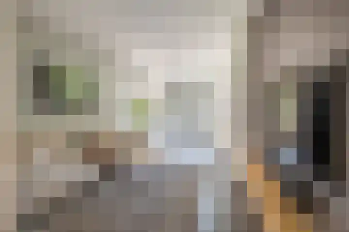 Nieuwveld 16 Gemert thumbnail 26