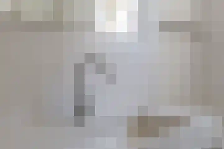 Nieuwveld 16 Gemert thumbnail 37