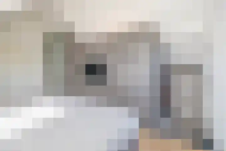 Nieuwveld 16 Gemert thumbnail 41