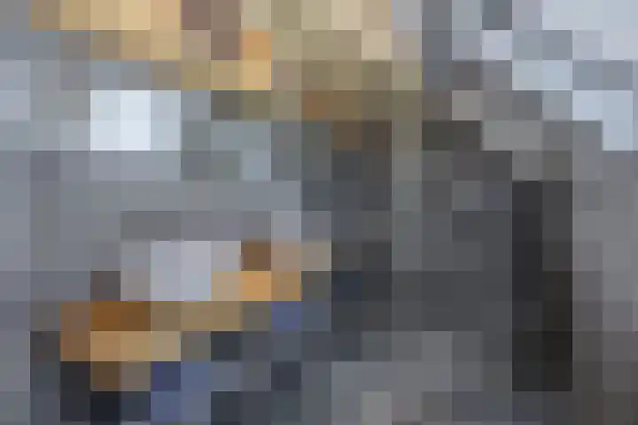 Nieuwveld 16 Gemert thumbnail 42