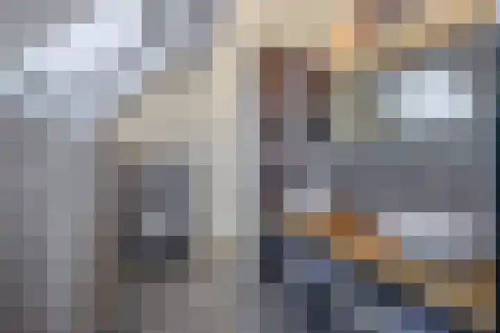 Nieuwveld 16 Gemert thumbnail 43