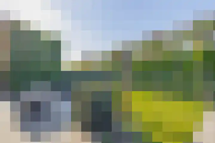 Nieuwveld 16 Gemert thumbnail 50