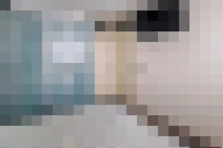 Nieuwveld 18 Helmond thumbnail 11