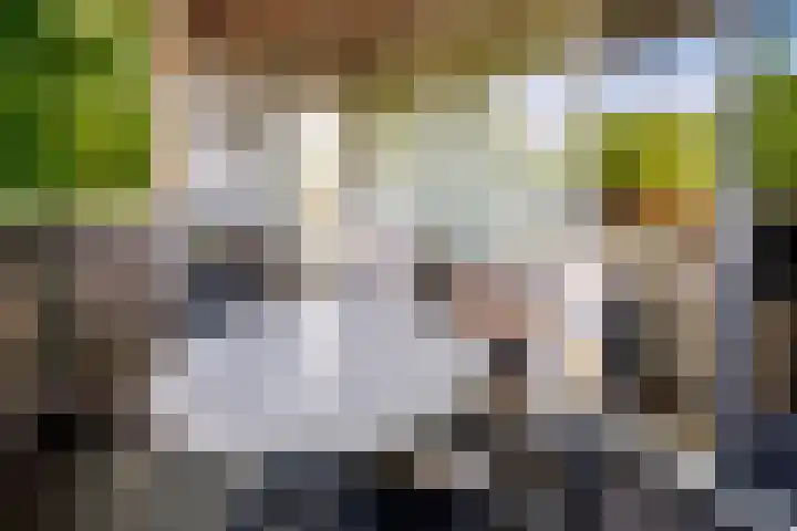 Nieuwveld 18 Helmond thumbnail 15