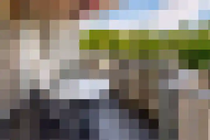 Nieuwveld 18 Helmond thumbnail 16