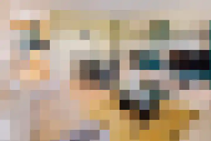 Nieuwveld 18 Helmond thumbnail 20