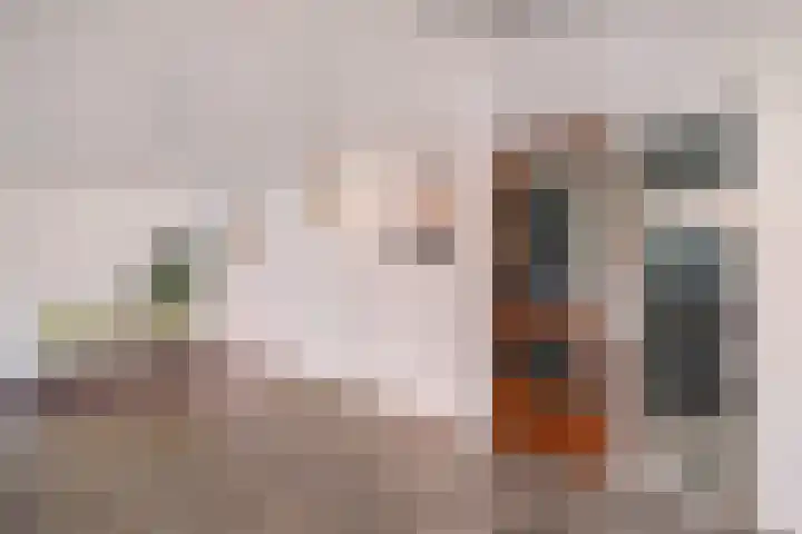 Nieuwveld 18 Helmond thumbnail 4