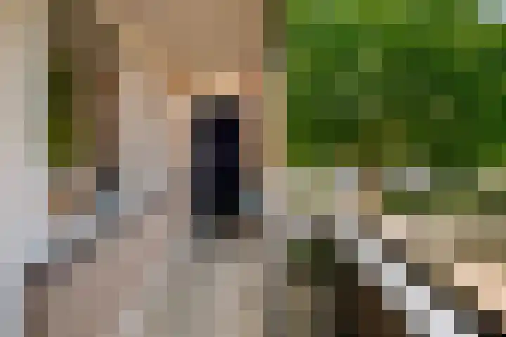 Nieuwveld 18 Helmond thumbnail 6