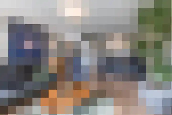 Nieuwveld 22 Helmond thumbnail 14