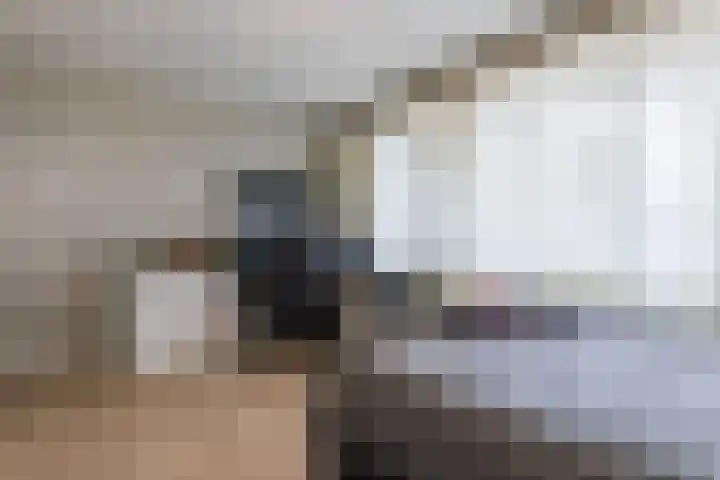 Nieuwveld 22 Helmond thumbnail 27