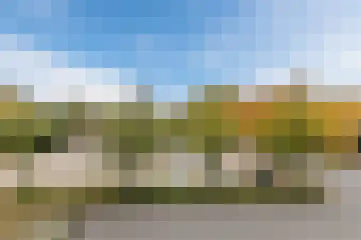 Nieuwveld 22 Helmond thumbnail 34