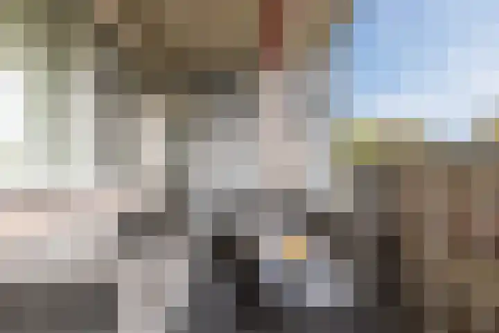 Nieuwveld 22 Helmond thumbnail 5