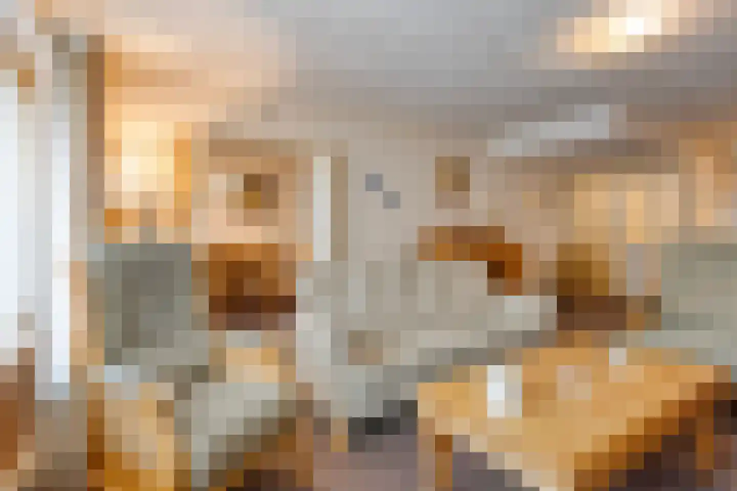 Nieuwveld 62 Helmond thumbnail 13