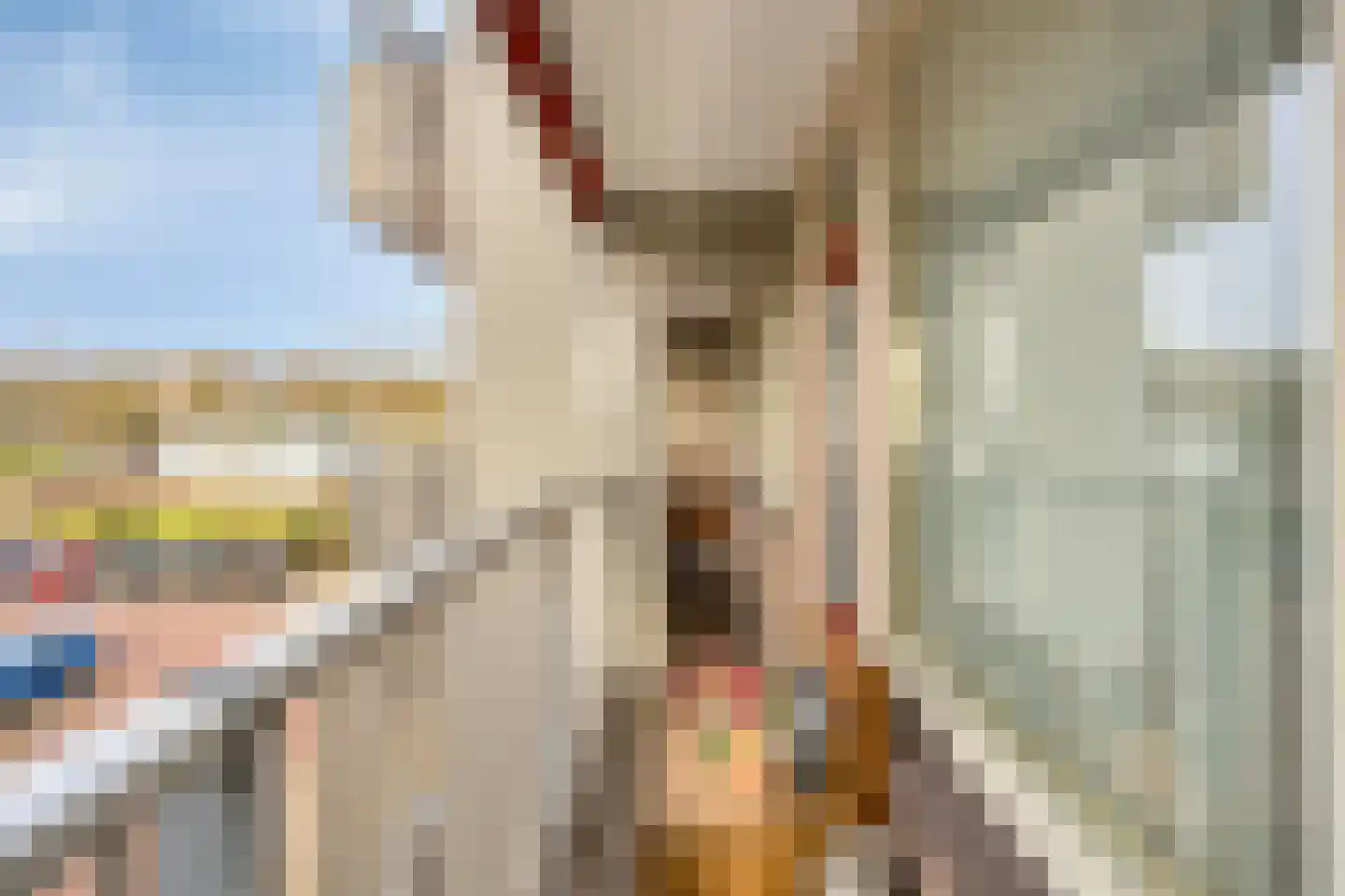 Nieuwveld 62 Helmond thumbnail 21