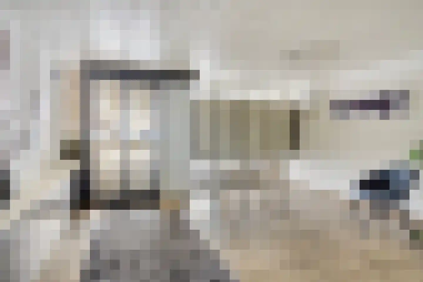 Nieuwveld 62 Helmond thumbnail 6