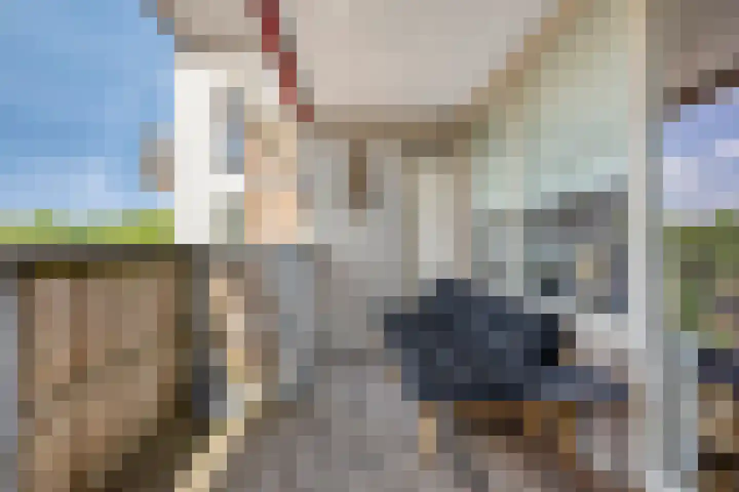 Nieuwveld 84 Helmond thumbnail 15