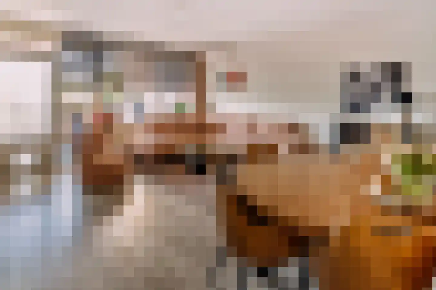 Nieuwveld 86 Helmond thumbnail 13