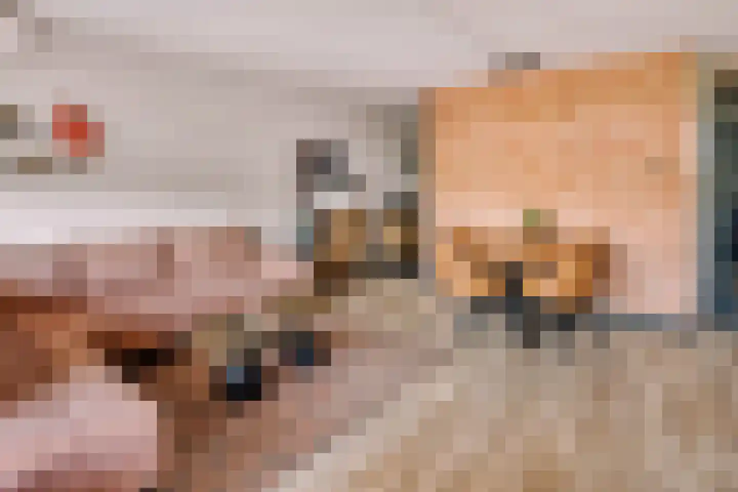 Nieuwveld 86 Helmond thumbnail 14