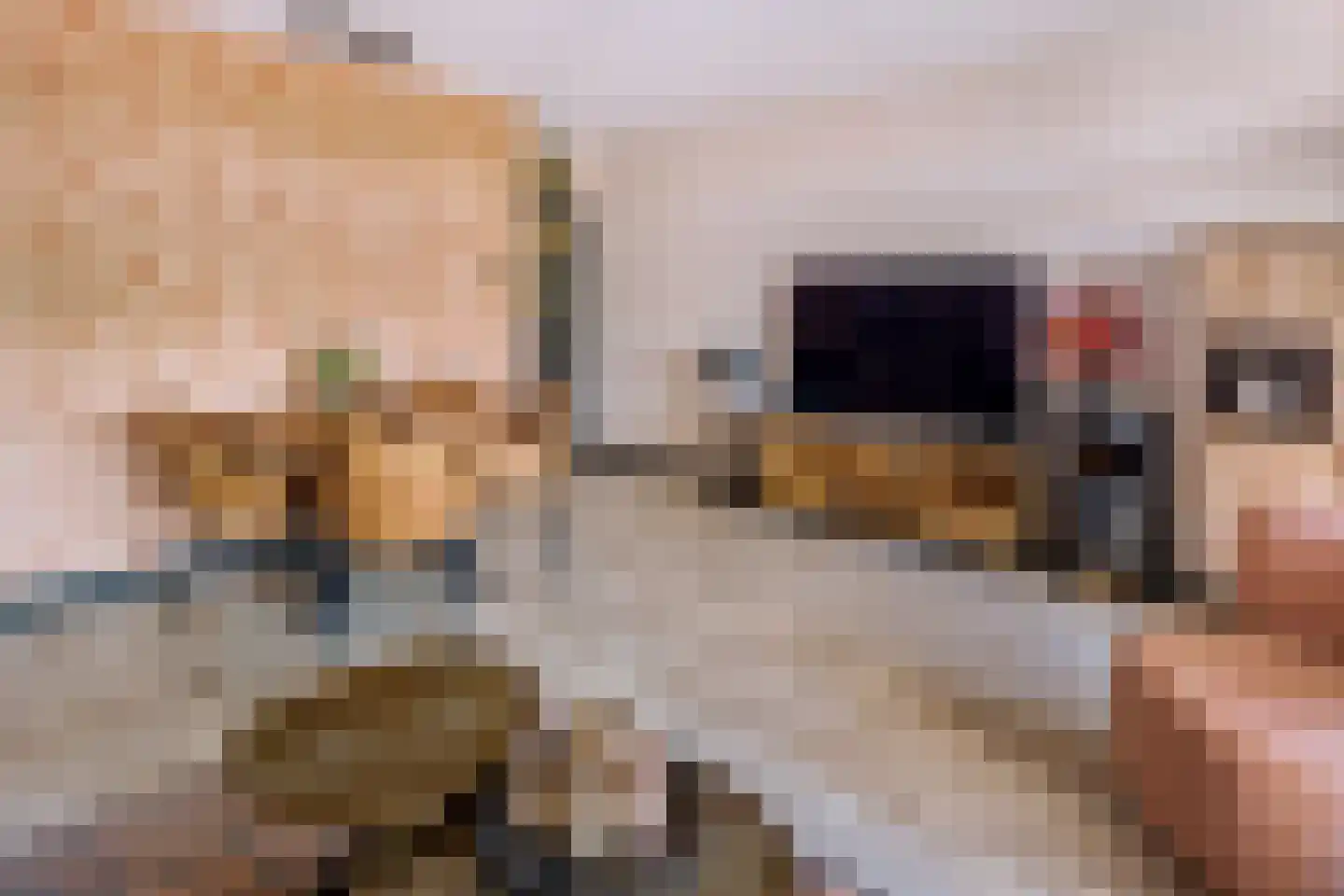 Nieuwveld 86 Helmond thumbnail 15