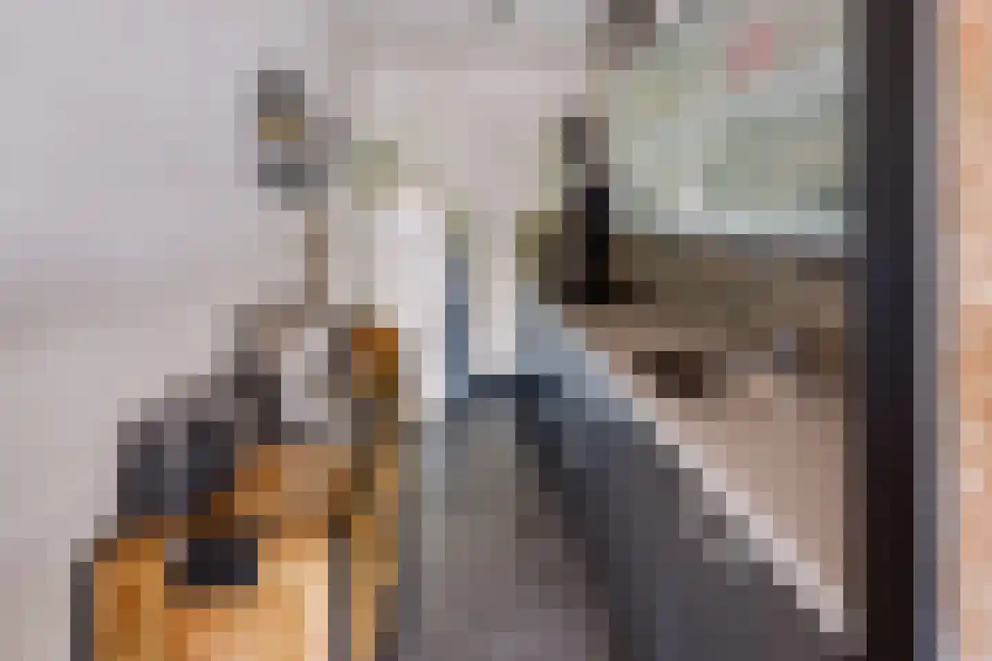 Nieuwveld 86 Helmond thumbnail 18