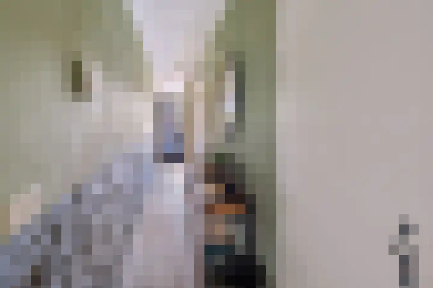 Nieuwveld 86 Helmond thumbnail 6
