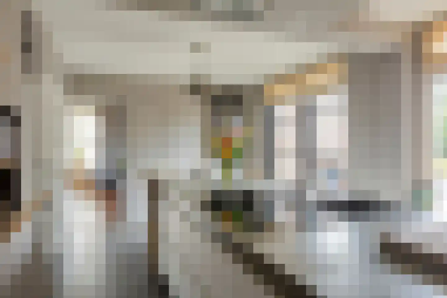 Nieuwvlietseweg 41 Nieuwvliet thumbnail 10