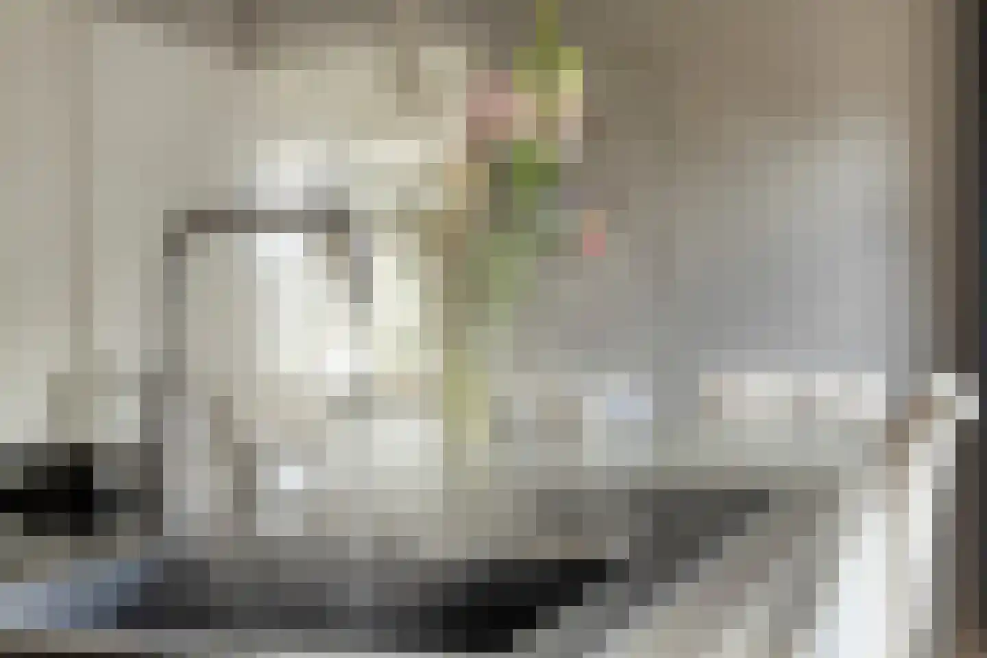Nieuwvlietseweg 41 Nieuwvliet thumbnail 13