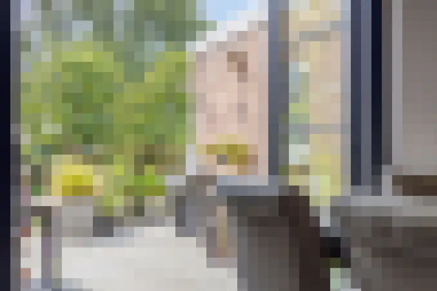 Nieuwvlietseweg 41 Nieuwvliet thumbnail 14