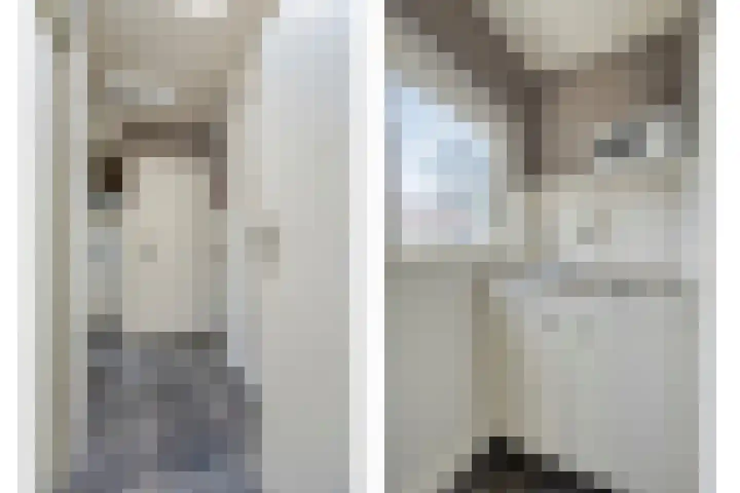 Nieuwvlietseweg 41 Nieuwvliet thumbnail 15