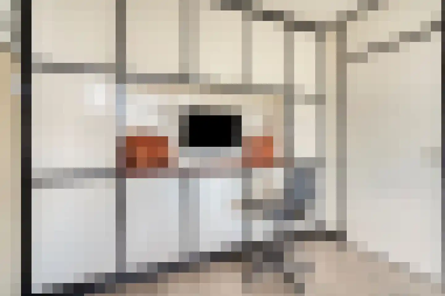 Nieuwvlietseweg 41 Nieuwvliet thumbnail 18