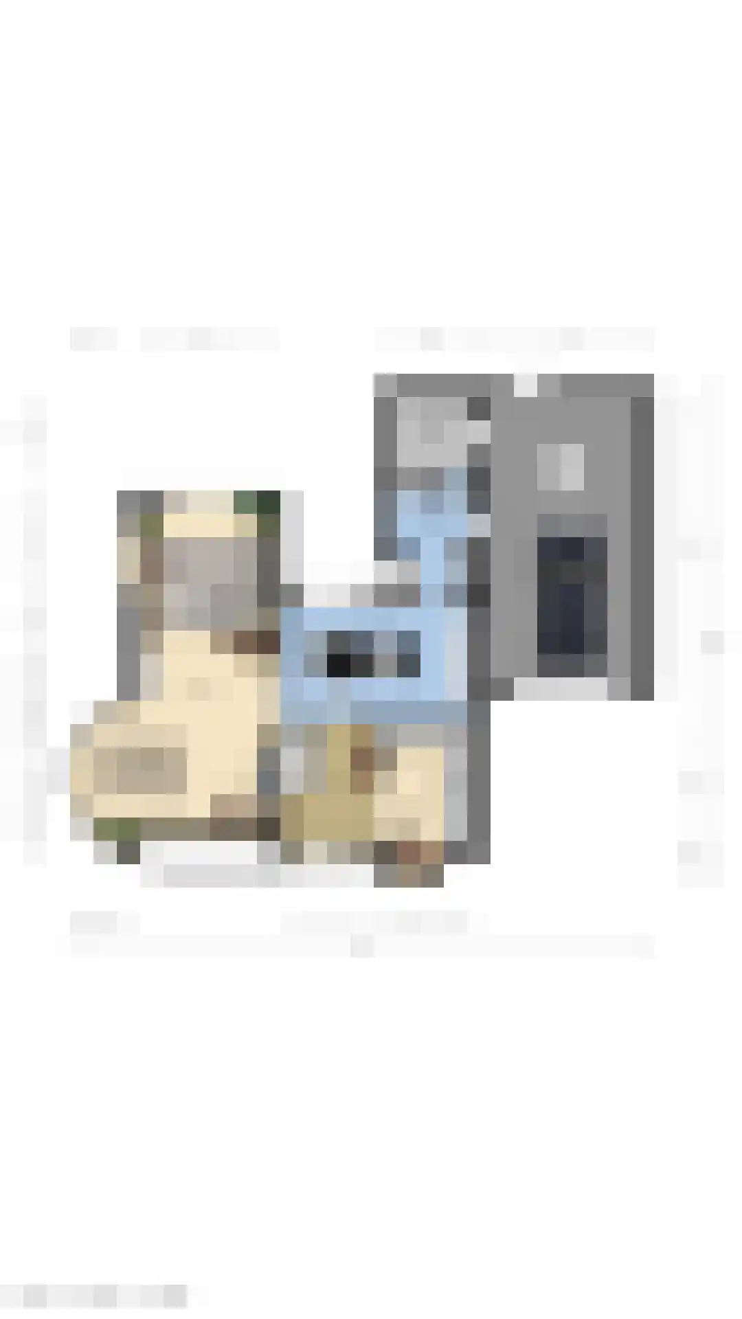 Nieuwvlietseweg 41 Nieuwvliet thumbnail 21