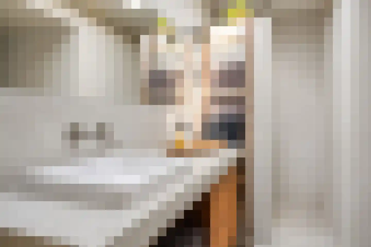 Nieuwvlietseweg 41 Nieuwvliet thumbnail 27