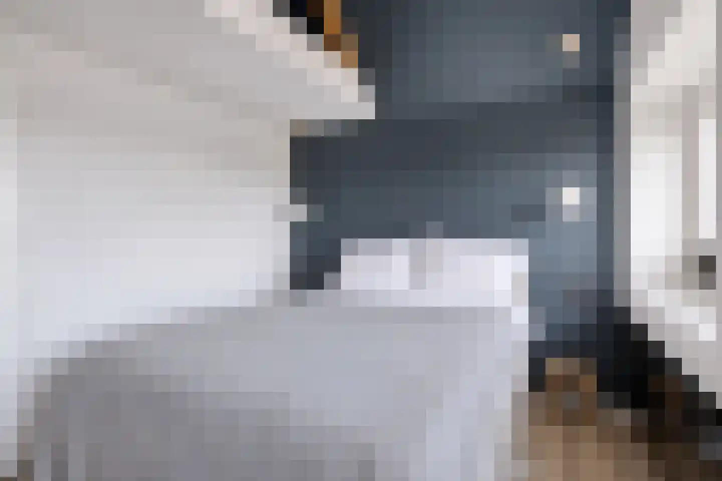 Nieuwvlietseweg 41 Nieuwvliet thumbnail 28